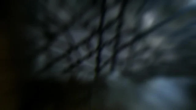 Кадры из сериала Сверхъестественное (2005)